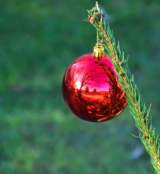 クリスマスの飾り — ストック写真