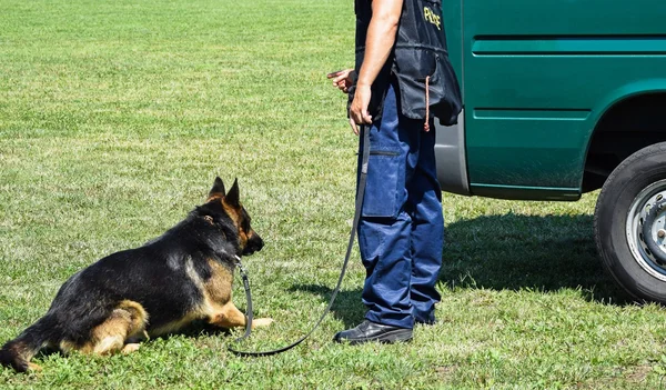 Polisen mannen med sin hund — Stockfoto