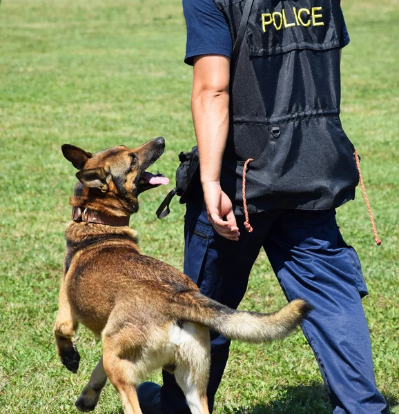 Homem da polícia com seu cão — Fotografia de Stock