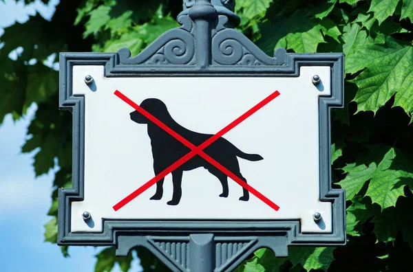 No dogs allowed sign — Stock Photo, Image