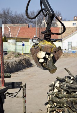 Günlük yükleyici çalışıyor