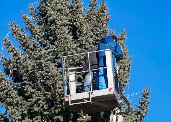 Männer schmücken einen hohen Weihnachtsbaum — Stockfoto