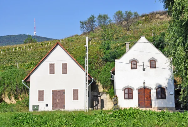 Vinkällaren byggnader i staden Tokaj, Ungern — Stockfoto