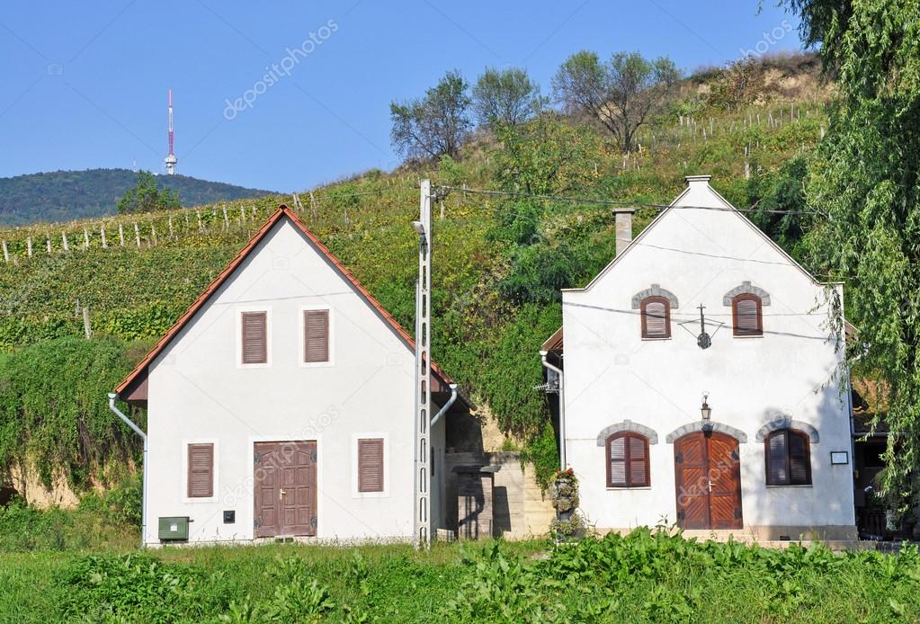 Wine cellar buildings in Tokaj city, Hungary