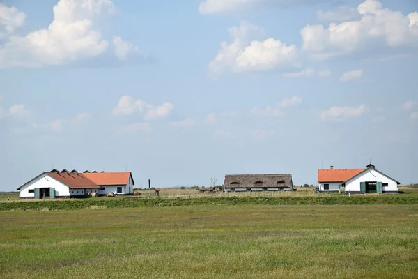 Edifici agricoli — Foto Stock