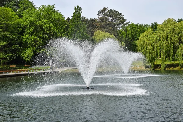 Fountain in the pond — Stock Photo, Image