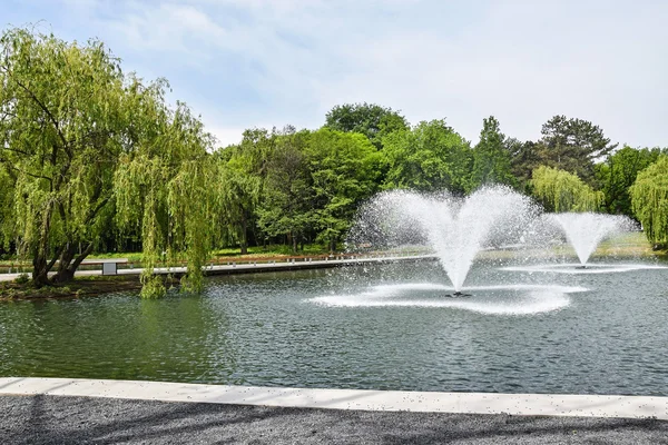 Fountain in the pond — Stock Photo, Image