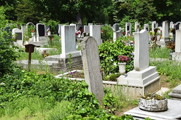 Надгробия на кладбище Лицензионные Стоковые Изображения