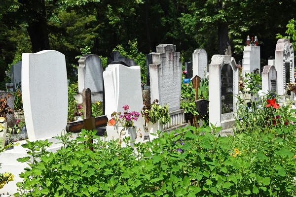 Pierres tombales au cimetière public — Photo