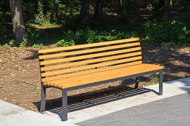Park bankında ormanda