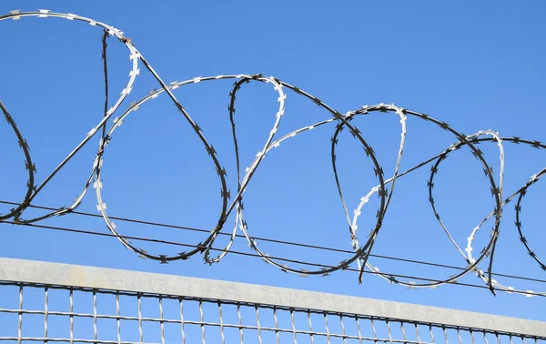Barbed wire fence Stock Image