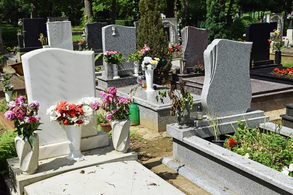 Надгробия на общественном кладбище — стоковое фото