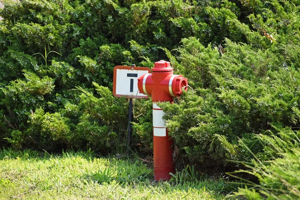 Feuerhydrant im Park — Stockfoto