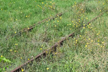 Paslı demiryolu parça çim kaplı