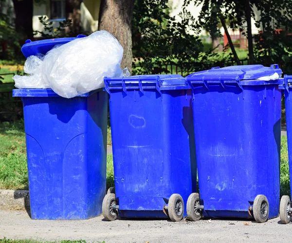 Tekerlekli çöp kutuları — Stok fotoğraf