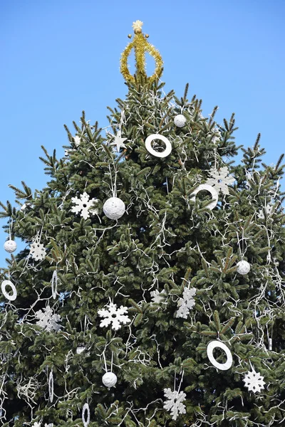 Рождественская елка на открытом воздухе — стоковое фото