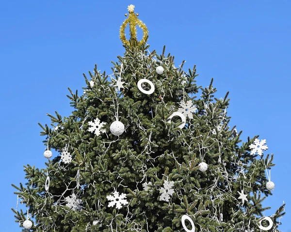 Vánoční strom venku — Stock fotografie