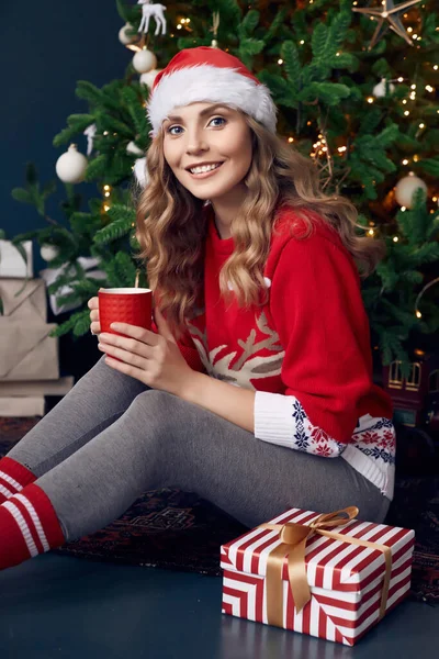 Porträt Einer Hinreißenden Blonden Frau Rotem Pullover Und Weihnachtsmütze Mit — Stockfoto