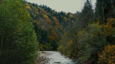  Dağlı sonbahar ormanı ve nehir manzarası