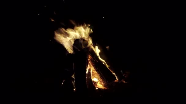 夜の闇の中でたき火が燃える 薪が燃え火花を散らします — ストック動画