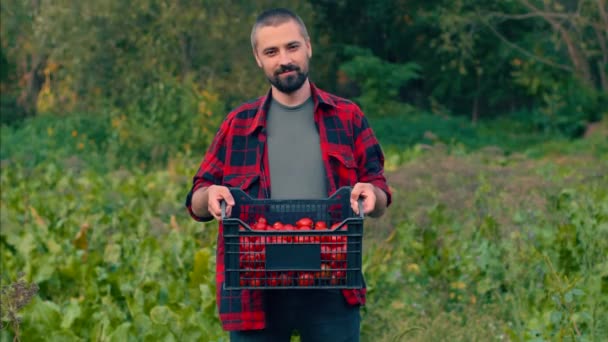 Jeune Fermier Barbu Caucase Tient Une Boîte Tomates Dans Ses — Video
