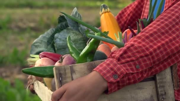 有機農場に野菜をたっぷり入れた木箱入り女性農家 — ストック動画