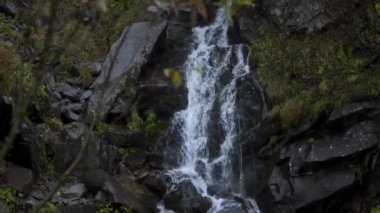 Karpat dağlarında güzel bir şelale. Yakın plan..