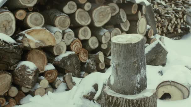 Woodcutter Chops Wood Winter His Yard Rustic Close Soft Focus — Stock Video