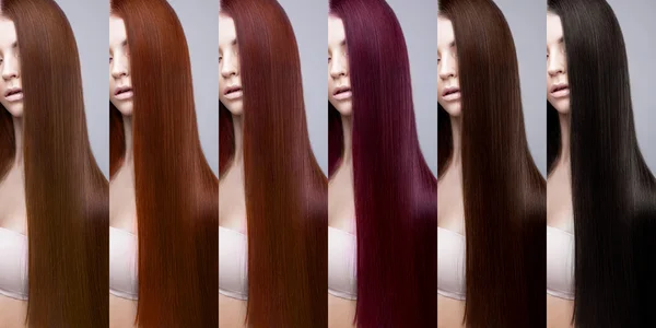 Hair collection Colors Set. Tints — Stock Photo, Image