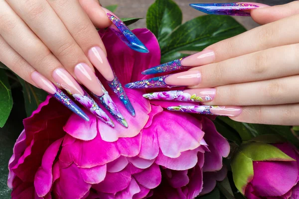 Lunga bella manicure con fiori sulle dita femminili. Progettazione unghie. Primo piano — Foto Stock