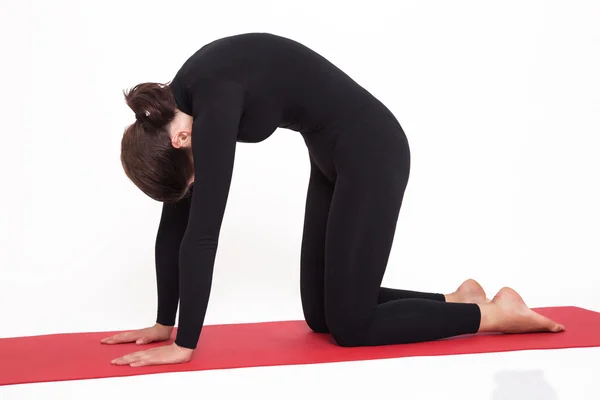 Mooi atletische meisje in zwart pak doen yoga. mardjariasna asana - kat pose. Geïsoleerd op witte achtergrond. — Stockfoto