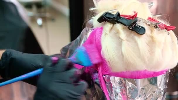 La peluquera tiñe el pelo de una mujer rubia en diferentes colores brillantes — Vídeos de Stock