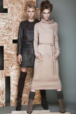 Güzel moda kızlar farklı pozlar gösterilen bir şık elbiseli. Güzellik, Stil, moda.