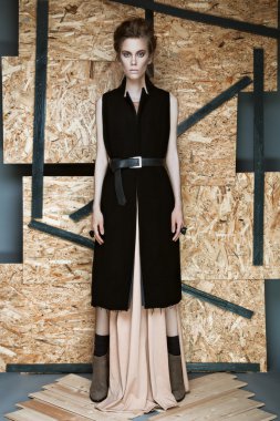 Şık elbiseli güzel moda kız farklı pozlar gösterilen. Güzellik, Stil, moda.