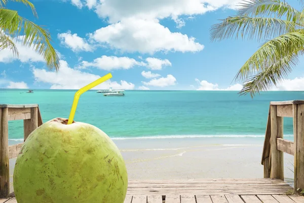 Beber coco na praia — Fotografia de Stock