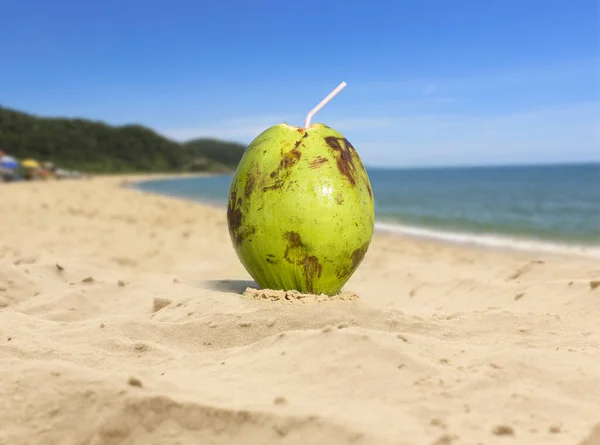 Groene Kokosnoot Het Zandstrand Tropische Strand Achtergrond — Stockfoto