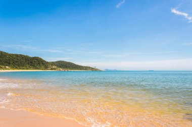 Tropik plaj manzarası. Santa Catarina eyaletindeki Bombinhas plajı.