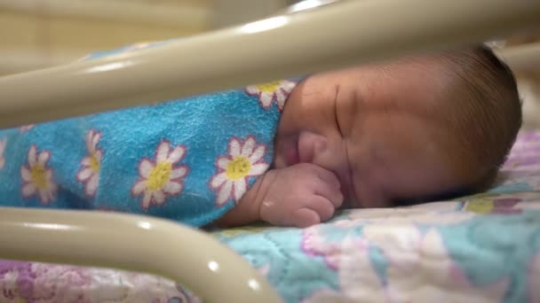 Cute Newborn Baby Boy Cot Hospital — Stock Video
