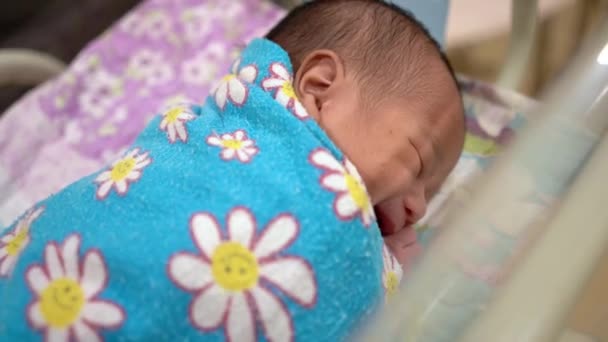 Cute Newborn Baby Boy Cot Hospital — Stock Video