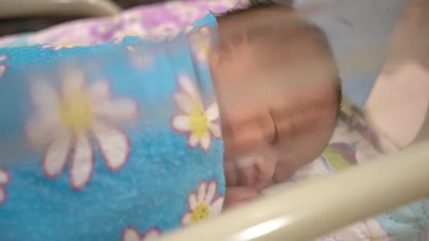 Lindo Bebé Recién Nacido Dentro Una Cuna Hospital — Vídeos de Stock