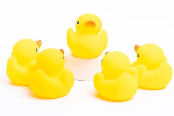 Concepto Liderazgo Grupo Pato Goma Amarillo Siguiendo Líder — Foto de Stock