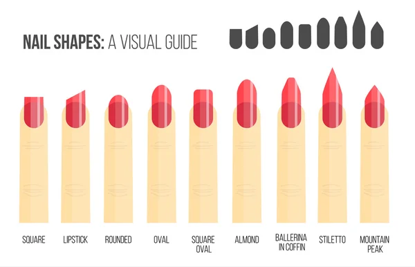 Nail shapes. Visual guide. — Stock Vector