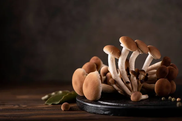 Forest mushrooms honey agarics on a wooden board, close-up — Stock Image Forest Mushrooms Honey Agarics Wooden Board Close Stock Photo