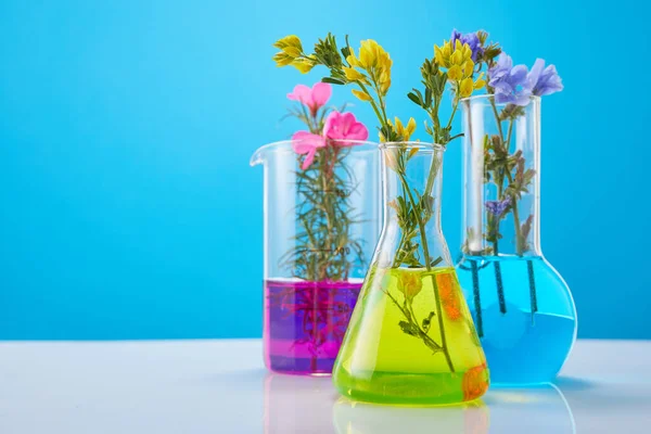 Blumen Und Pflanzen Reagenzgläsern Auf Gelbem Hintergrund Konzept Der Biologischen — Stockfoto