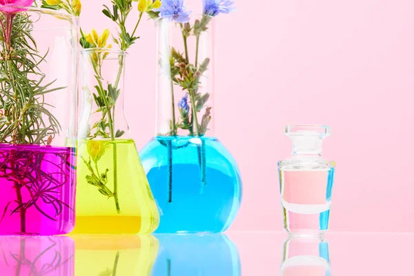 Kwiaty w probówkach i butelka produktu kosmetycznego na różowym tle. Koncepcja badań perfum i zapachów. Zamknij się. — Zdjęcie stockowe