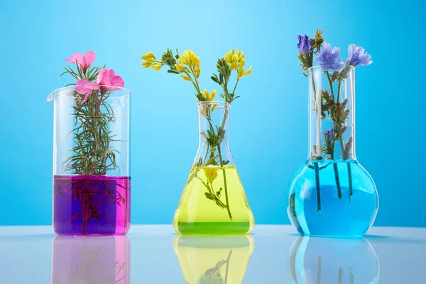 Kwiaty Rośliny Probówkach Żółtym Tle Koncepcja Badań Biologicznych — Zdjęcie stockowe