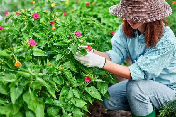 Wanita Tukang Kebun Tempat Kerja Sarung Tangan Bunga Kebun Rumah — Stok Foto