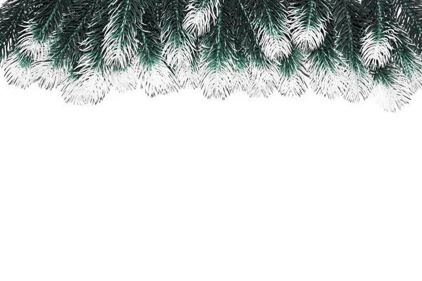 Christmas decoration fir tree branches with snow on white background — Stock Photo, Image