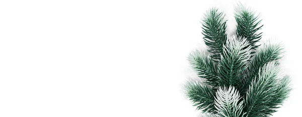 Vánoční dekorování jedle strom větev se sněhem na bílém pozadí banner — Stock fotografie
