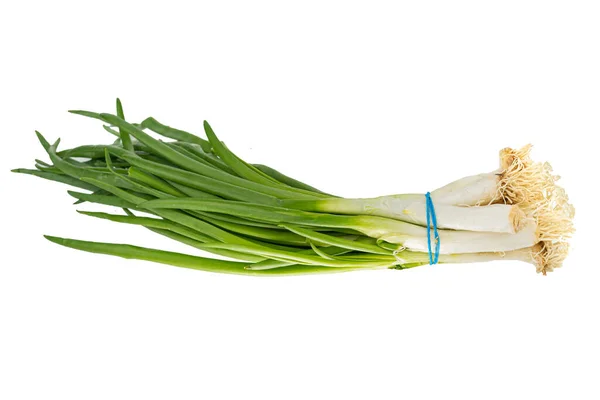 Cipolla fresca verde isolata su sfondo bianco — Foto Stock